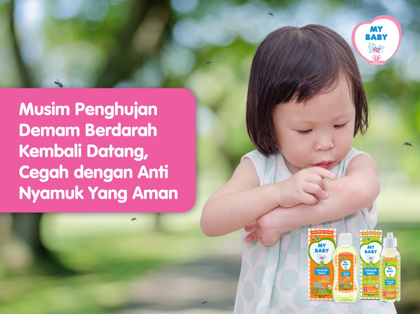 Musim Penghujan Demam Berdarah Kembali Datang, Cegah dengan Anti Nyamuk Yang Aman